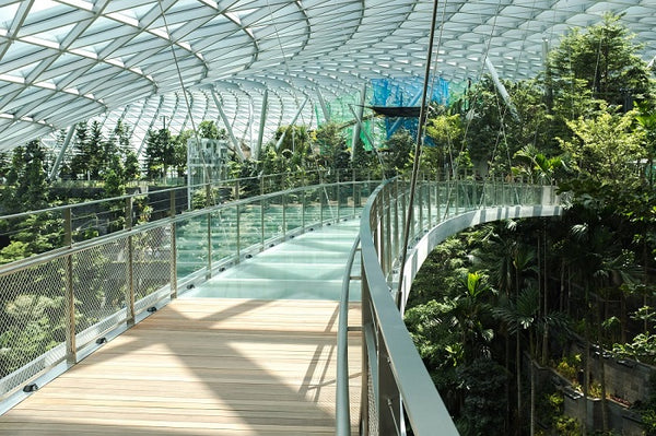 Jewel Changi Airport Canopy Bridge