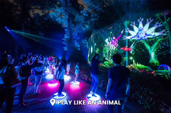 Rainforest Lumina at Singapore Zoo