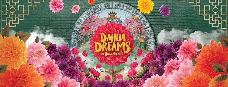 Dahlia Dreams | Gardens by the Bay