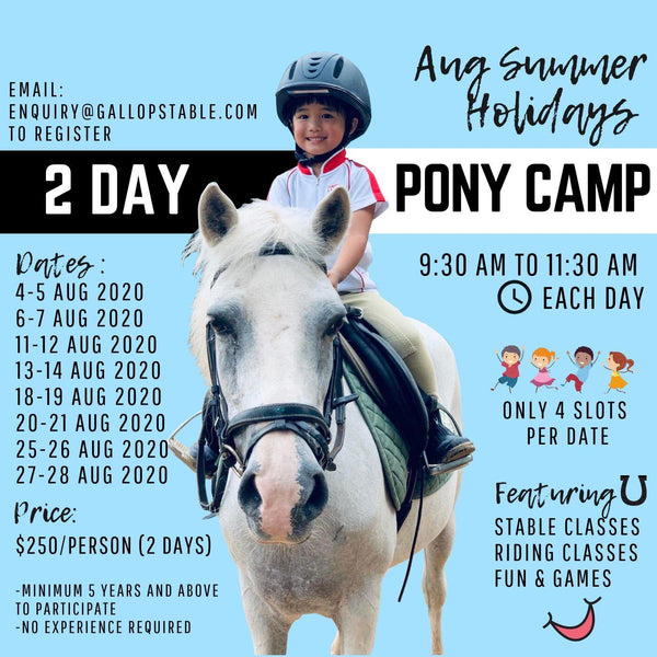 Gallop Stable 2 Day Pony Camp