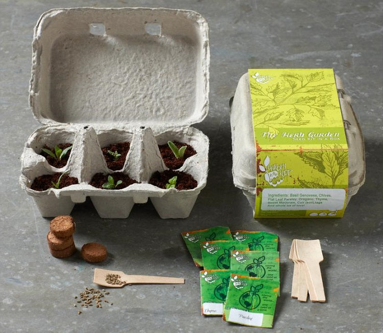 Last Minute Gift Ideas to Impress Your Kids With this Children's Day - Gardening