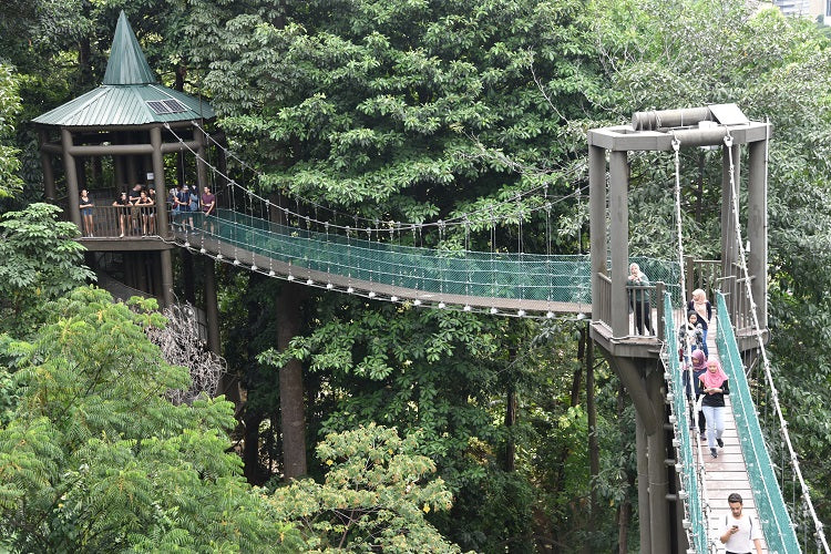 Enjoy a Scenic View at KL Forest Eco Park