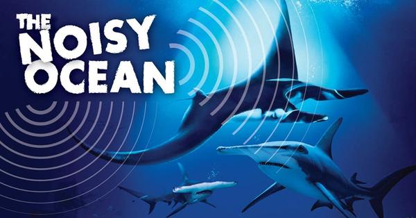 Ocean Fest: The Noisy Ocean – S.E.A. Aquarium