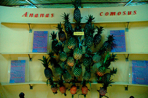 Johor Pineapple Museum (Muzium Nanas Negeri Johor)