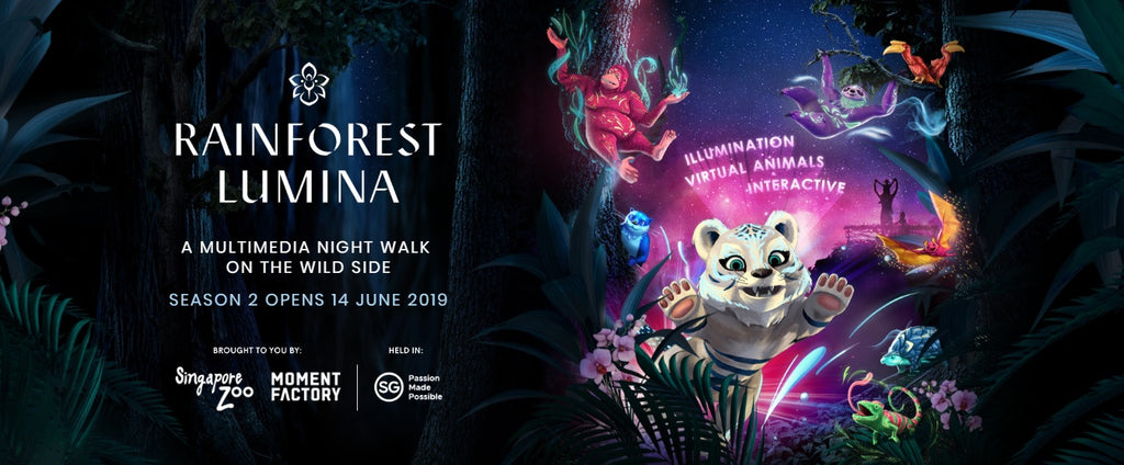 Rainforest Lumina at Singapore Zoo