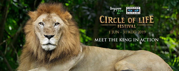 Circle of Life Festival  at Singapore Zoo