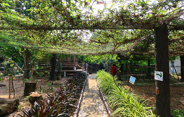 Sri Tanjung Leisure Farm