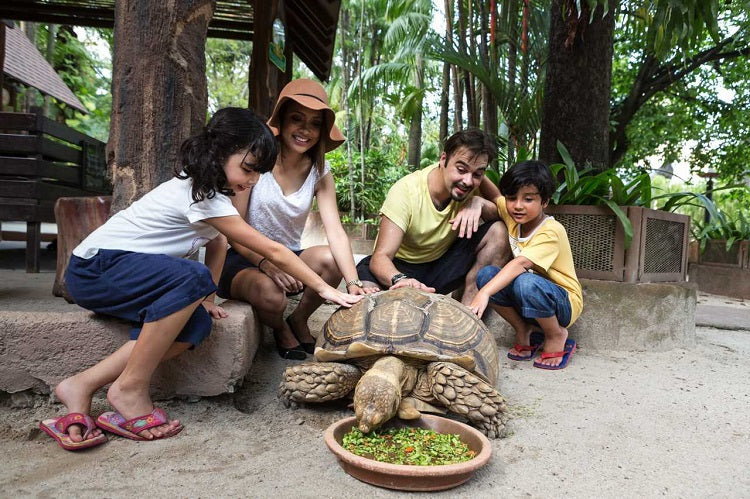 Sunway Lagoon Theme Park –Thrill Rides, Horror House & Wildlife Adventures!