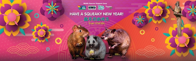 Wild Chinese New Year | Wildlife Reserves Parks