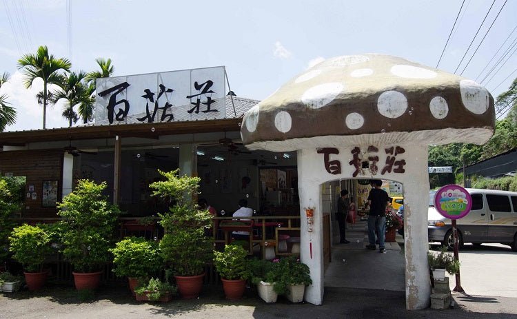 6 Places in Taichung to Visit with Your Family - Xinshe Mushroom Garden