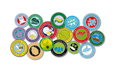 Young Scientist Badge Scheme (Online)
