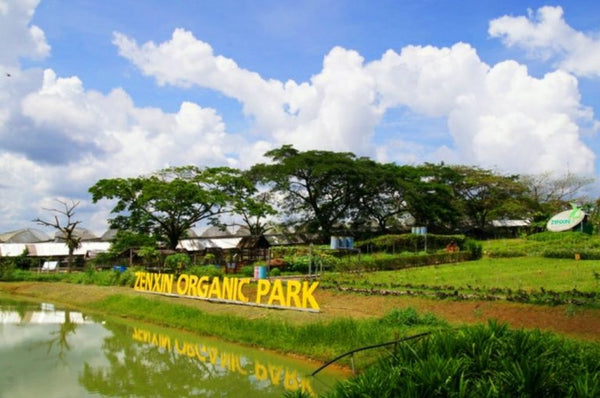 Zenxin Organic Park