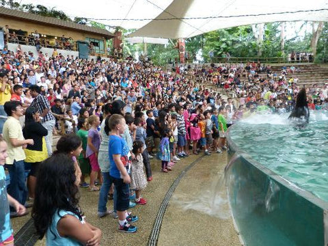 Singapore Zoo Crowd