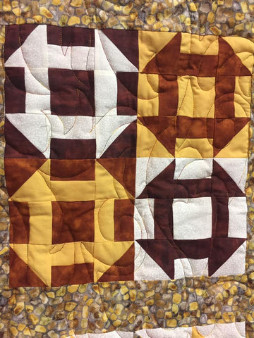 Beginner Sampler at The Quilt Store