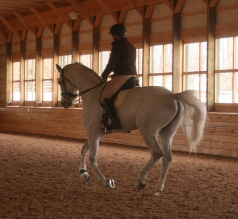 Saddle Fitting for Smarties | Movement