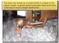 Saddle Fitting for Smarties | Tree Shape