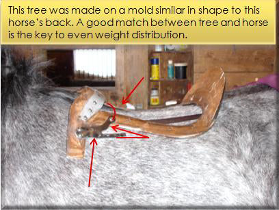 Saddle Fitting for Smarties | More About Saddle Trees