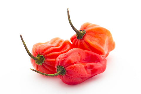 Habaneros one of the Fire Cider 10 core ingredients