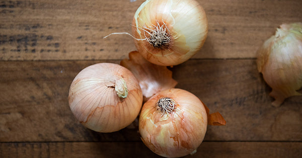 Onions - one of the 10 Core Ingredients of Fire Cider. Learn more on the Fire Cider Blog