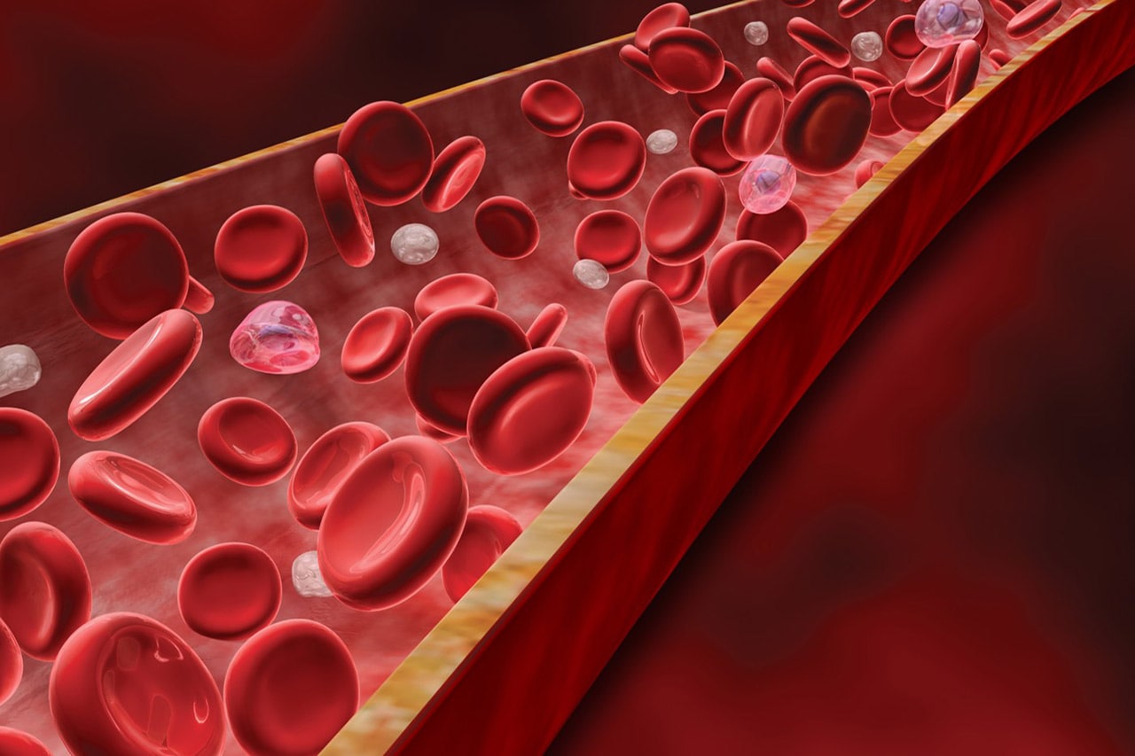 Blood Clots  6 Things You Need to Know