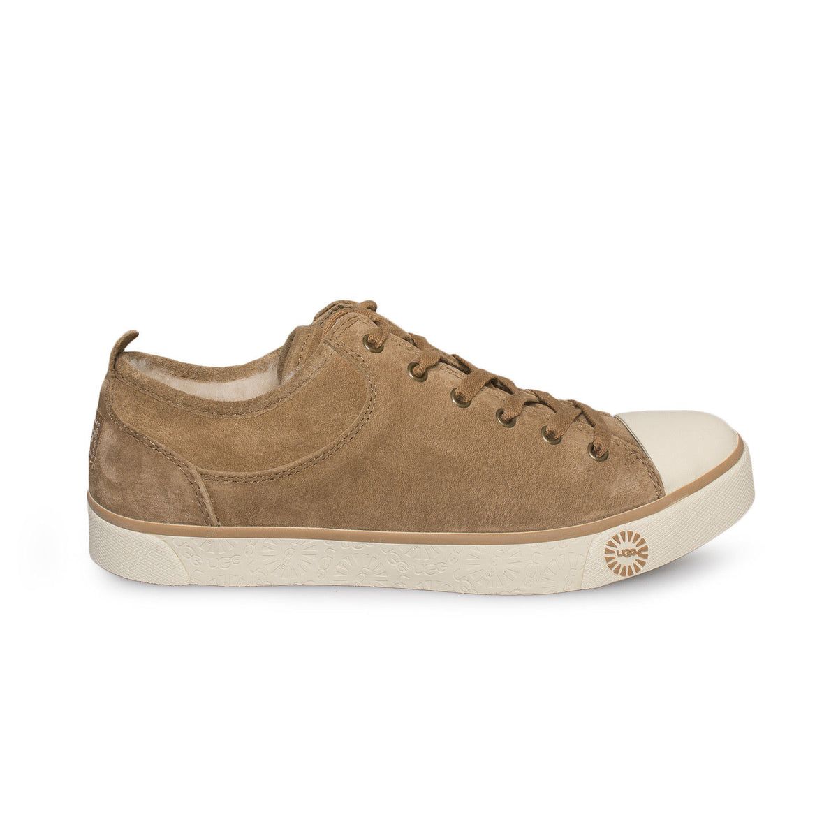 ugg evera sneakers