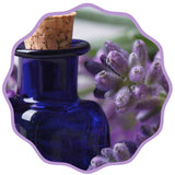 Lavender Essential Oil