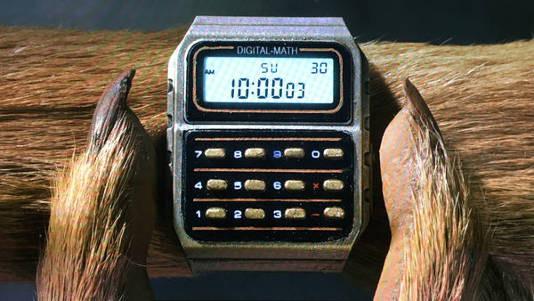 Mr. Fox's Digital Math Watch