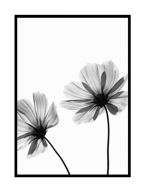 MONOCHROME FLOWER