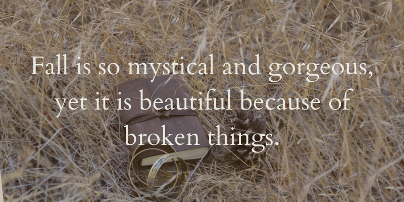 Fall is so mystical and gorgeous, yet it is beautiful because of broken things.