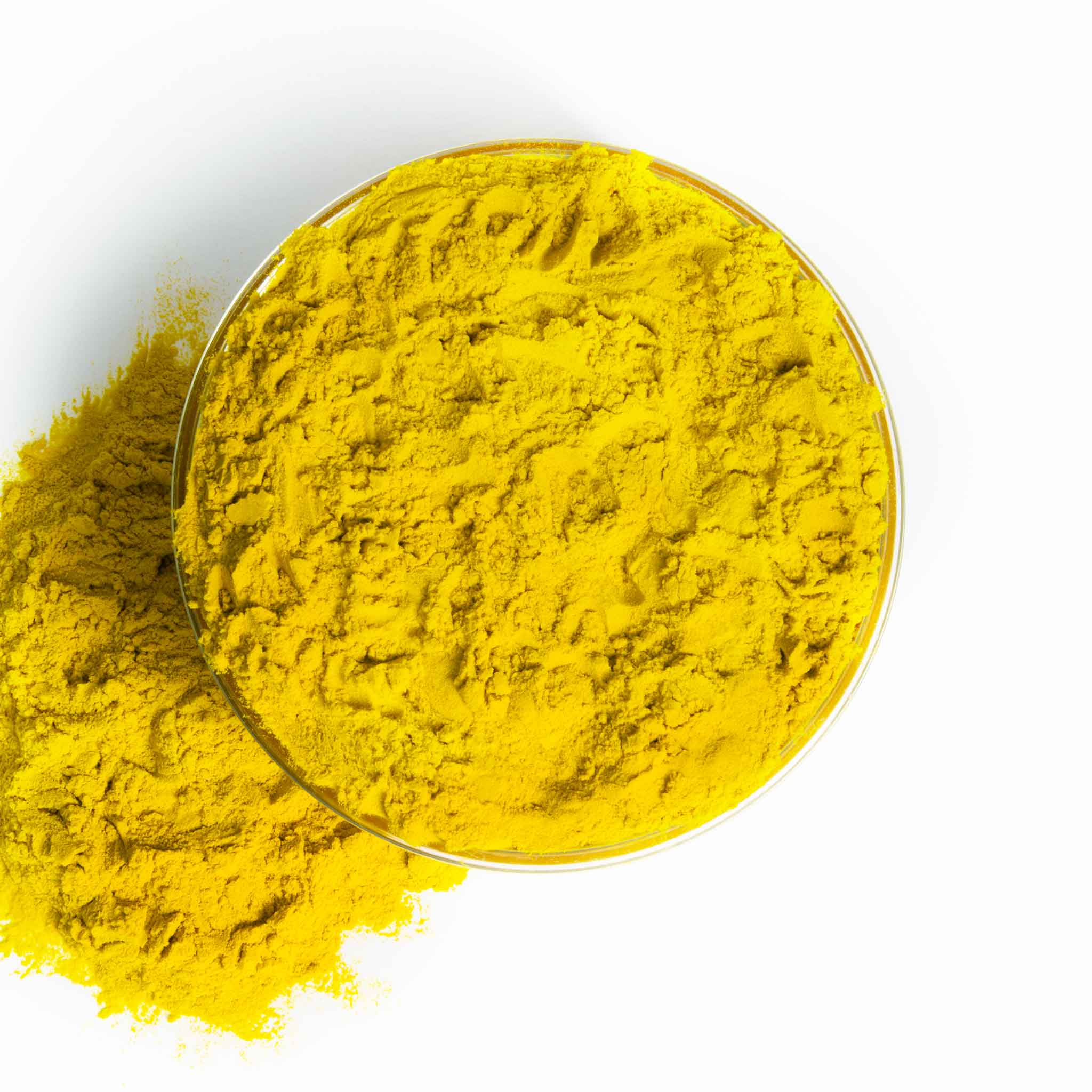 Yellow Chlorella