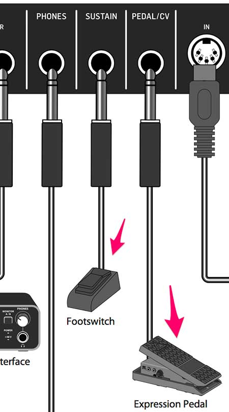 Conexiones Sustain y Pedal/CV