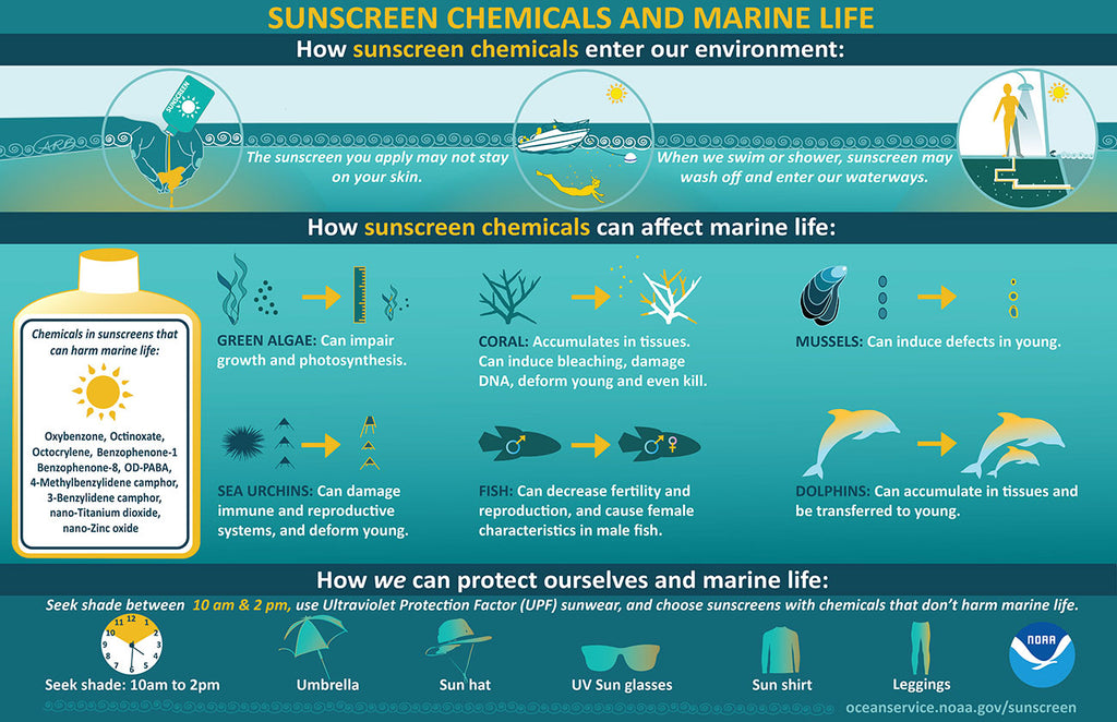 how does sunscreen affect the reef