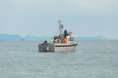 wild for salmon crew sockeye salmon sale