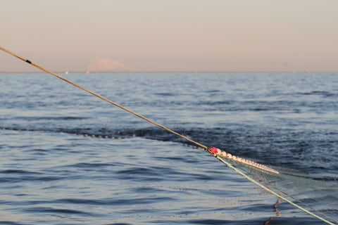 net sunset bristol bay photo 