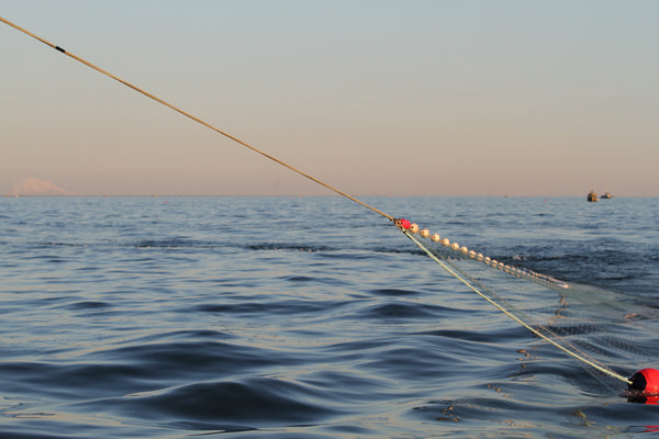 Bristol Bay net scene 