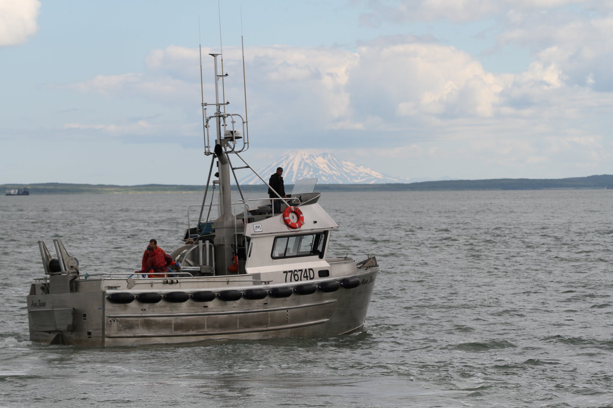 bristol bay wild salmon