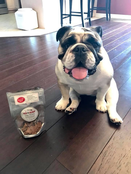 wild for salmon pet treats contest winner 