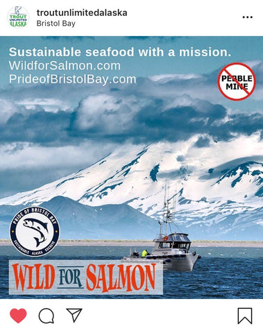 wild for salmon trout unlimited ig partnership