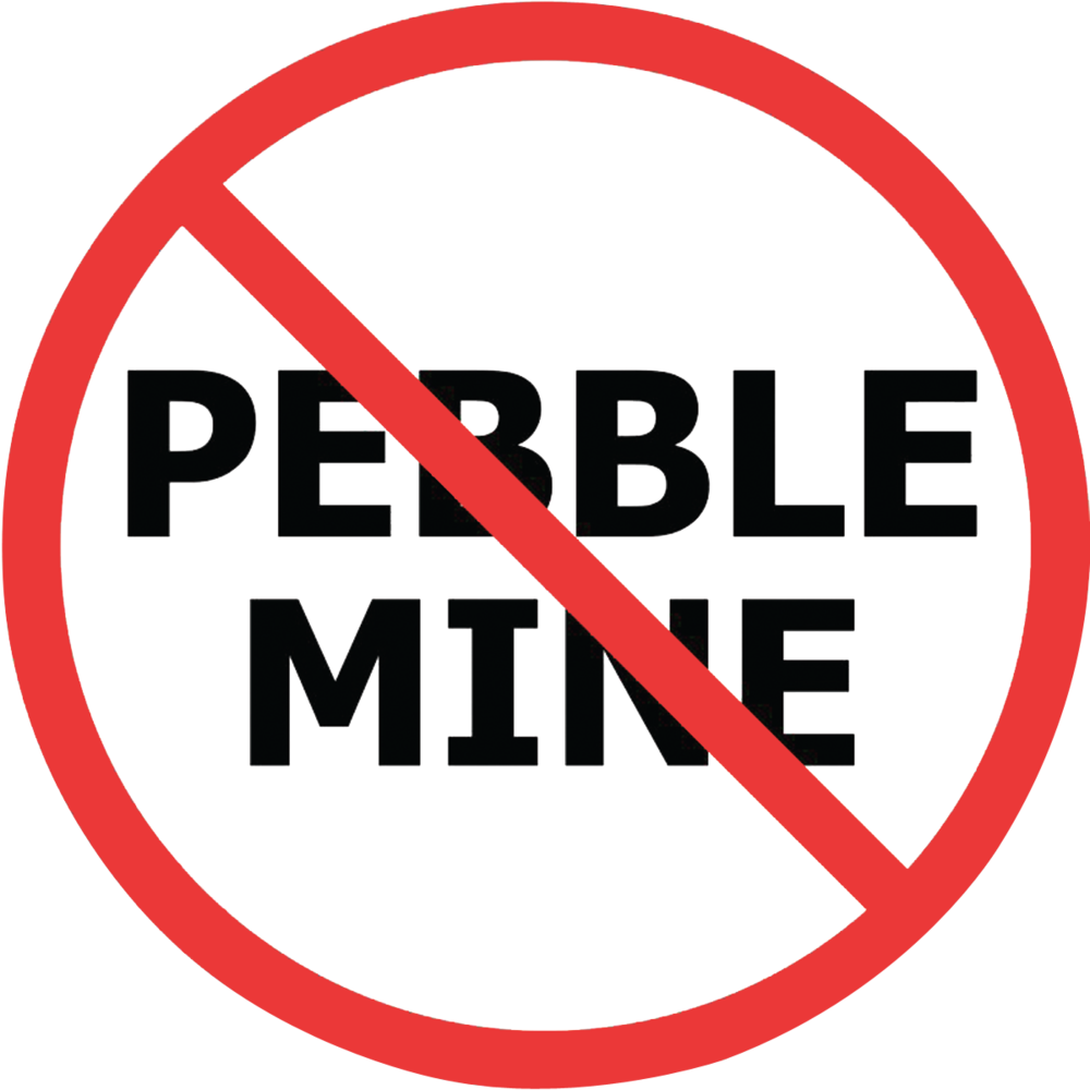 no pebble mine wild for salmon