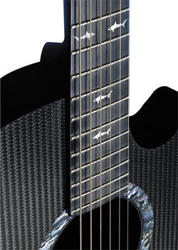 Rainsong W3000 12 string carbon fiber acoustic guitar