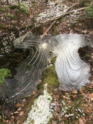 acadia national park