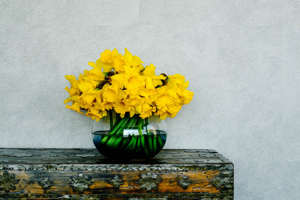 Blumenvase Nr. 23 von Ro Dänemark mit gelben Narzissen