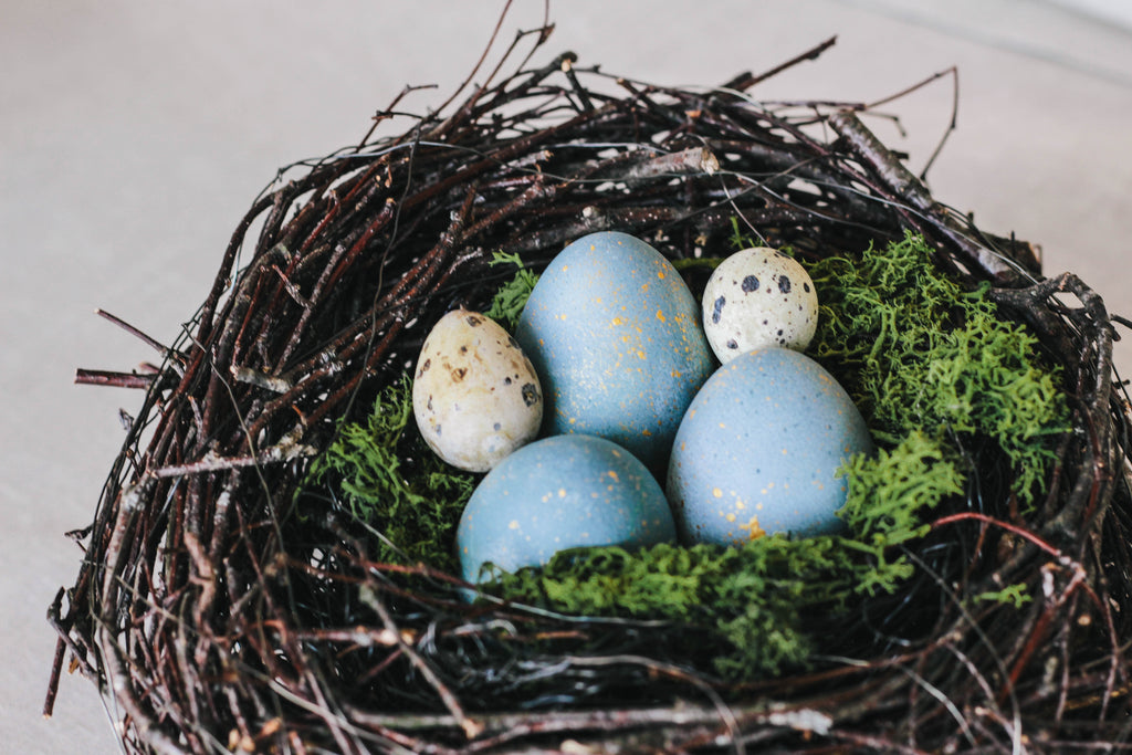 Osternest Easter nest eggs