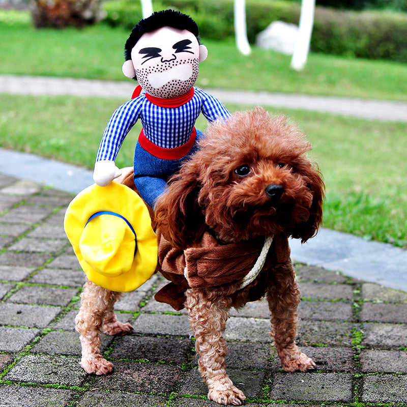 large dog cowboy costume