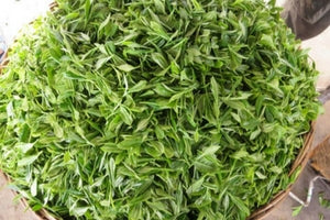 Meng ding jasmine green tea base