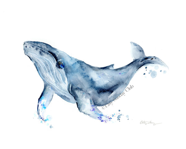 humpback whale art