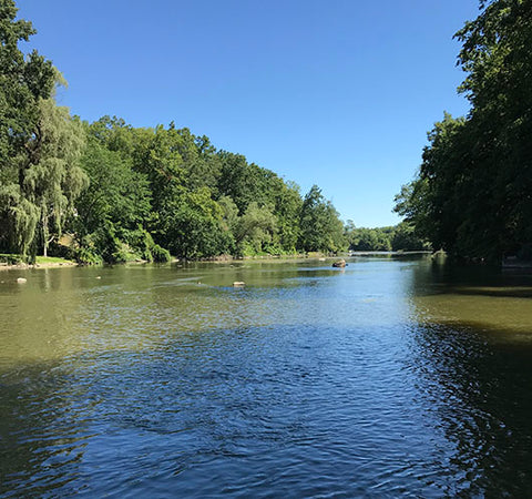 Thornapple River, MI