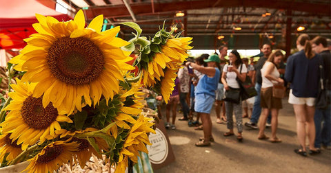 Everygreen Brickworks Farmers Market