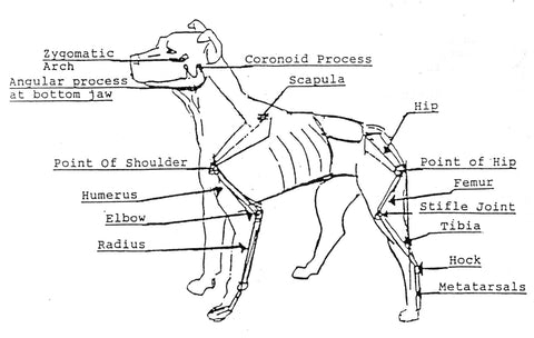 ADBA Conformation Breakdown