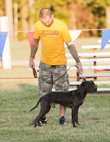Canine Athletes CH Vito - 2015 ADBA Top Ranked Conformation Dog